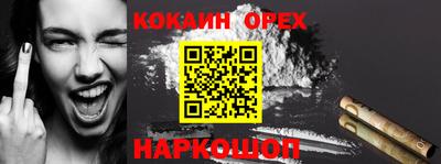 амф Кингисепп