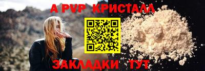 амф Кингисепп