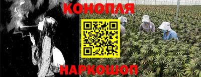 амф Кингисепп