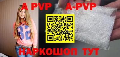 амф Кингисепп