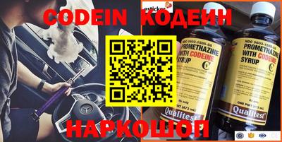 амф Кингисепп
