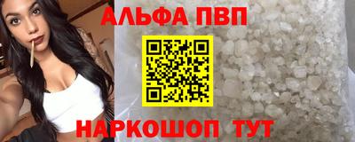 амф Кингисепп