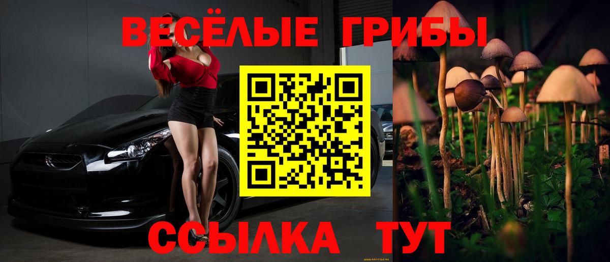 Галлюциногенные грибы прущие грибы  где купить наркоту  Костомукша  Вход с VPN 